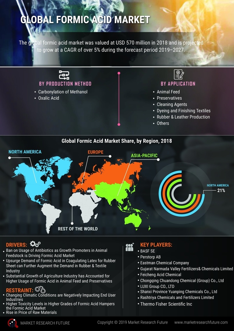 Formic Acid Market Research Report- Forecast to 2035 Infographic