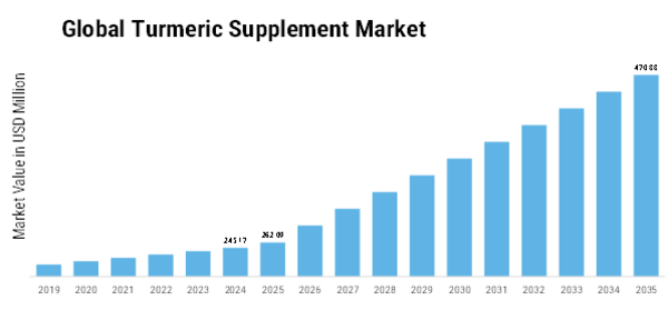 Turmeric Supplement Market Size